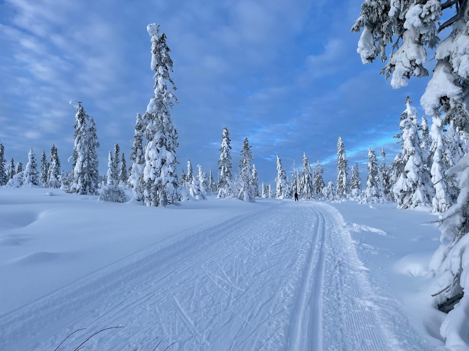 Flotte skiløyper kun 30 m fra hytta. Galleribilde