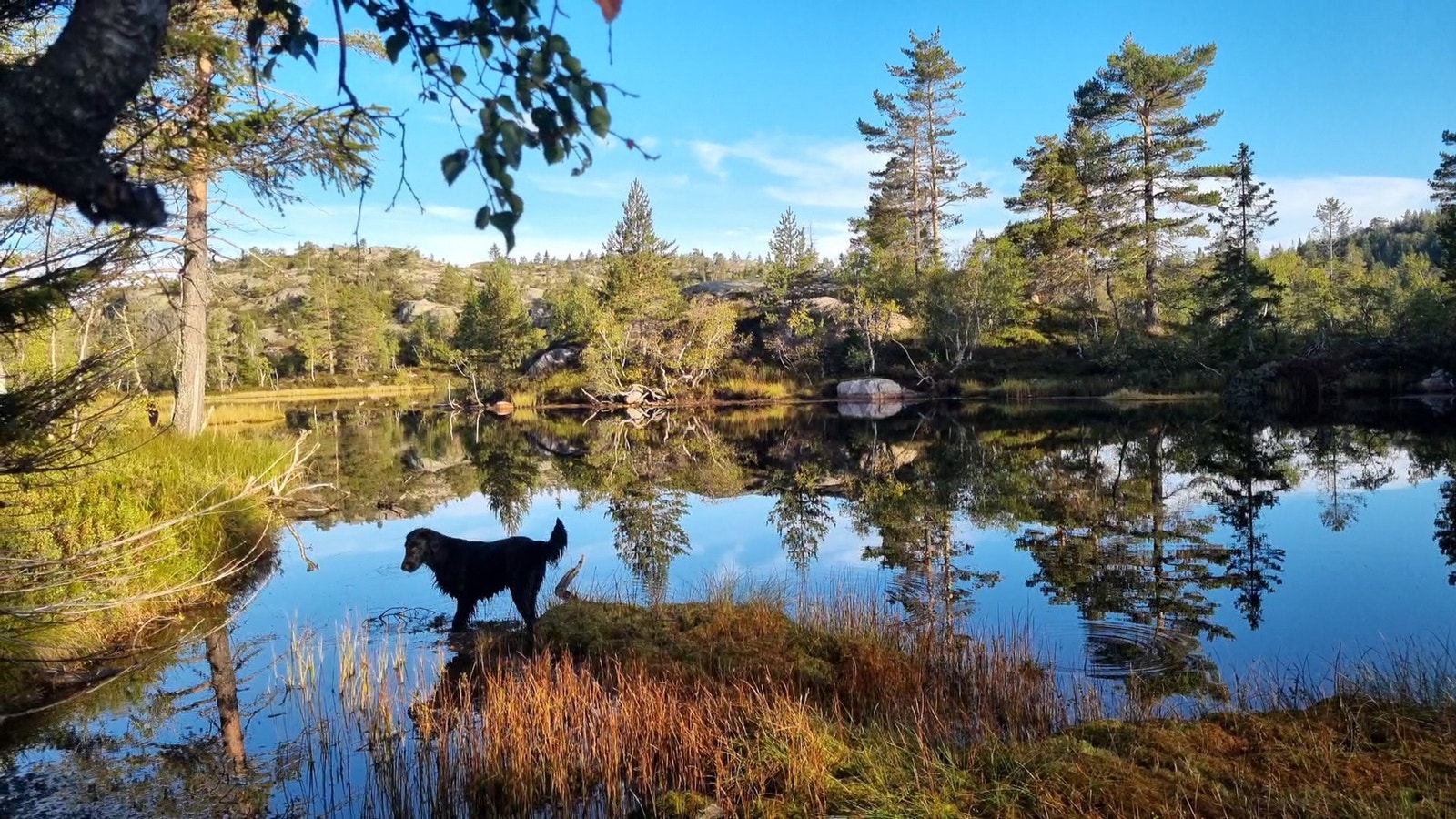 Vakkert terreng på Gautefallheia Galleribilde
