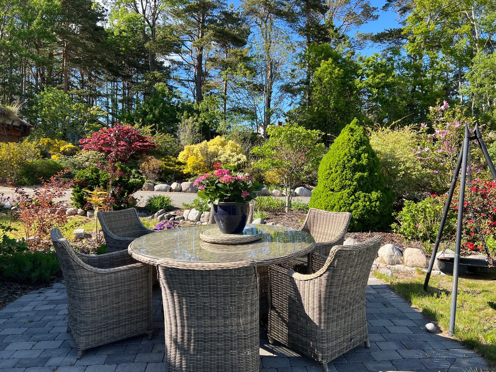 Masse flotte planter Galleribilde