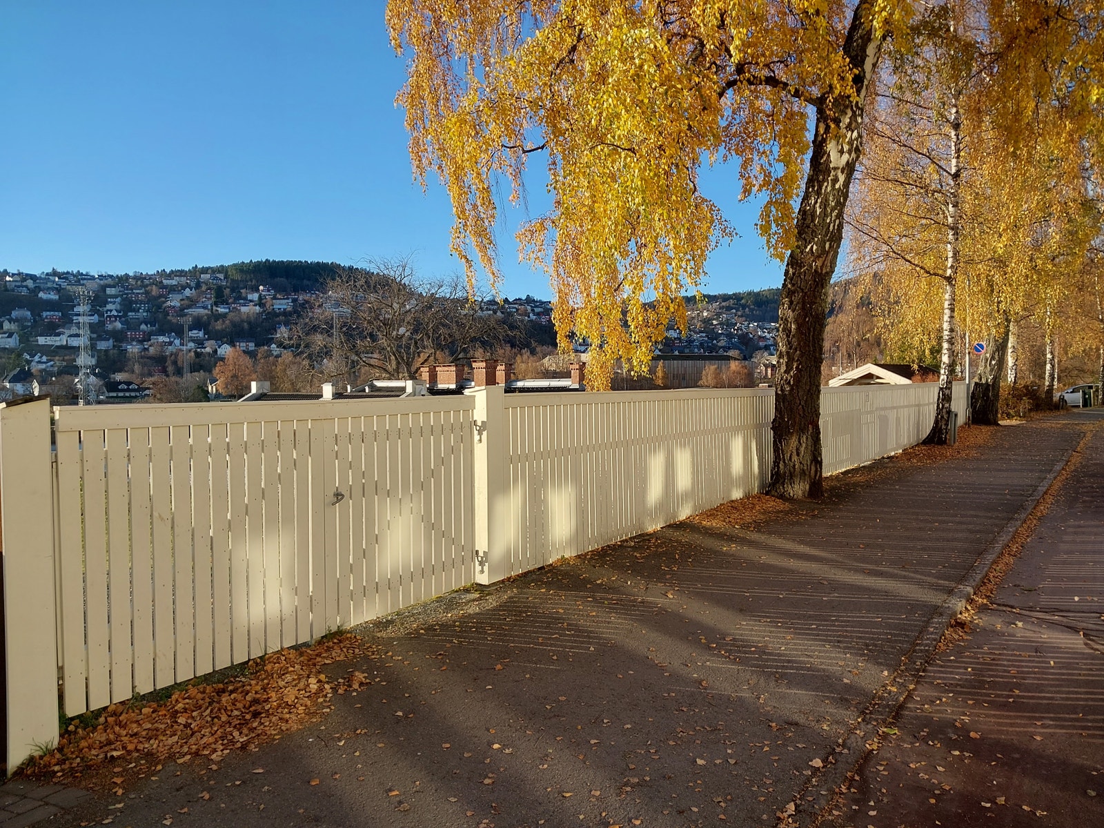 Høyt gjerde Galleribilde