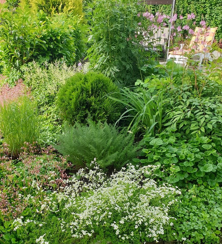 En hage du kan glede deg til Galleribilde