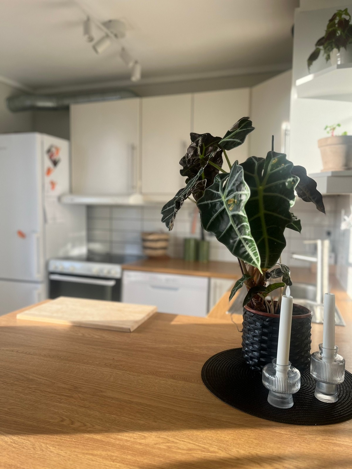 Oppvaskmaskin på kjøkkenet Galleribilde