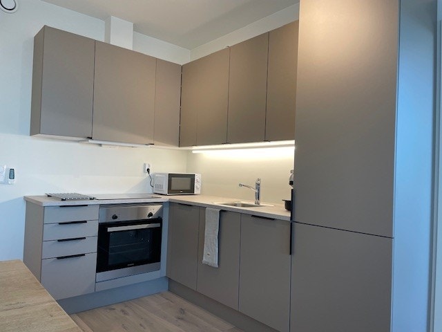 Lekkert, velutstyrt kjøkken. Elegant and well equipped kitchen. Galleribilde