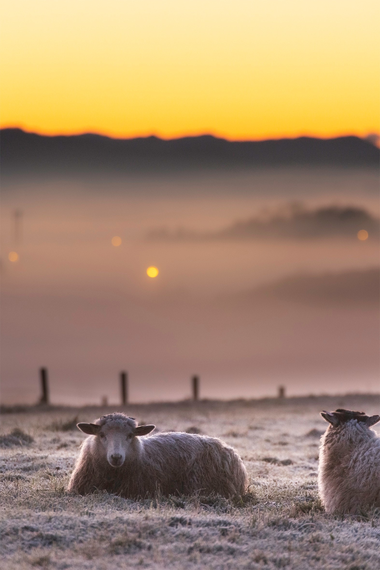 På Myklebust bor du landlig, nær sjøen og sentralt! Galleribilde