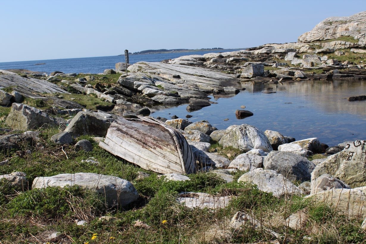 Flotte områder langs sjøen Galleribilde