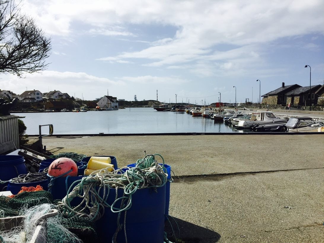 Tananger Havn Galleribilde