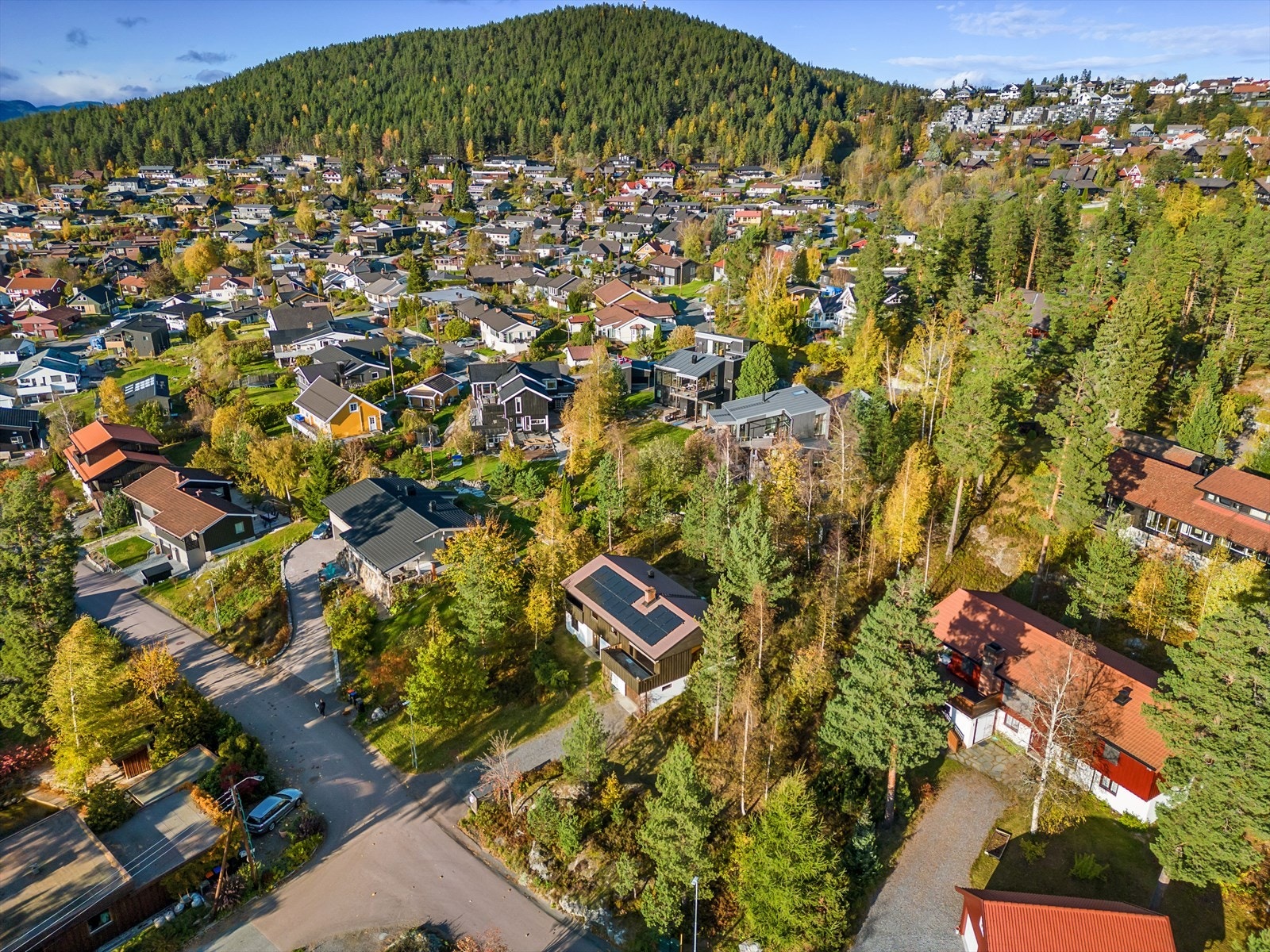 Kort vei til Sulusåsen og ''Stanga'' med fine turmuligheter. Galleribilde