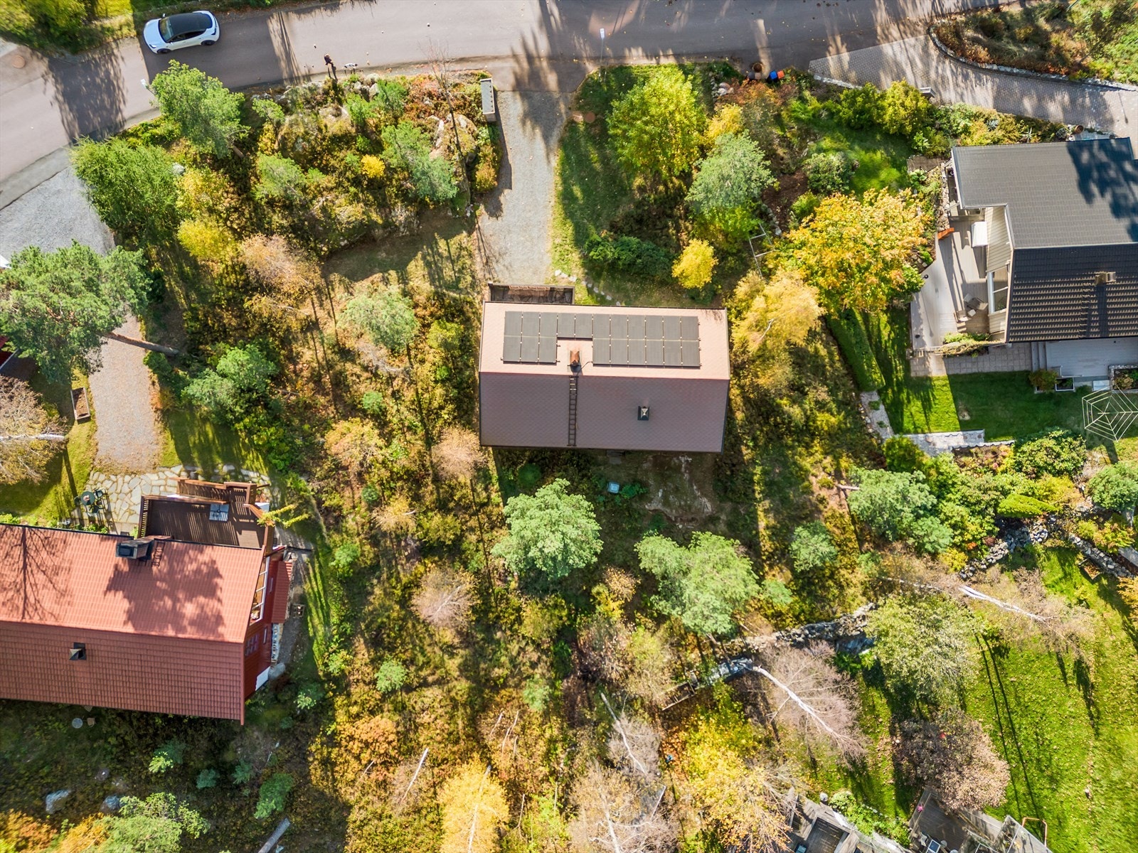 Dronebilde av tomta, sett ovenifra. Galleribilde