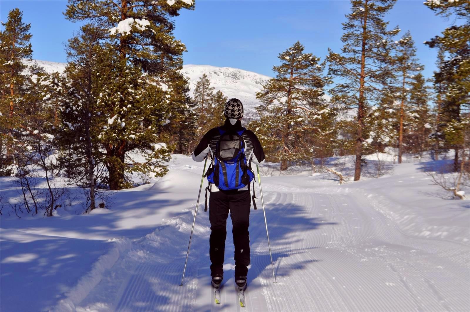 Flotteoppkjrtelyper.jpg Galleribilde