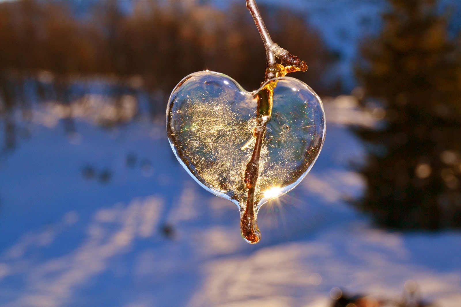 VisespBrokkePanorama.jpg Galleribilde