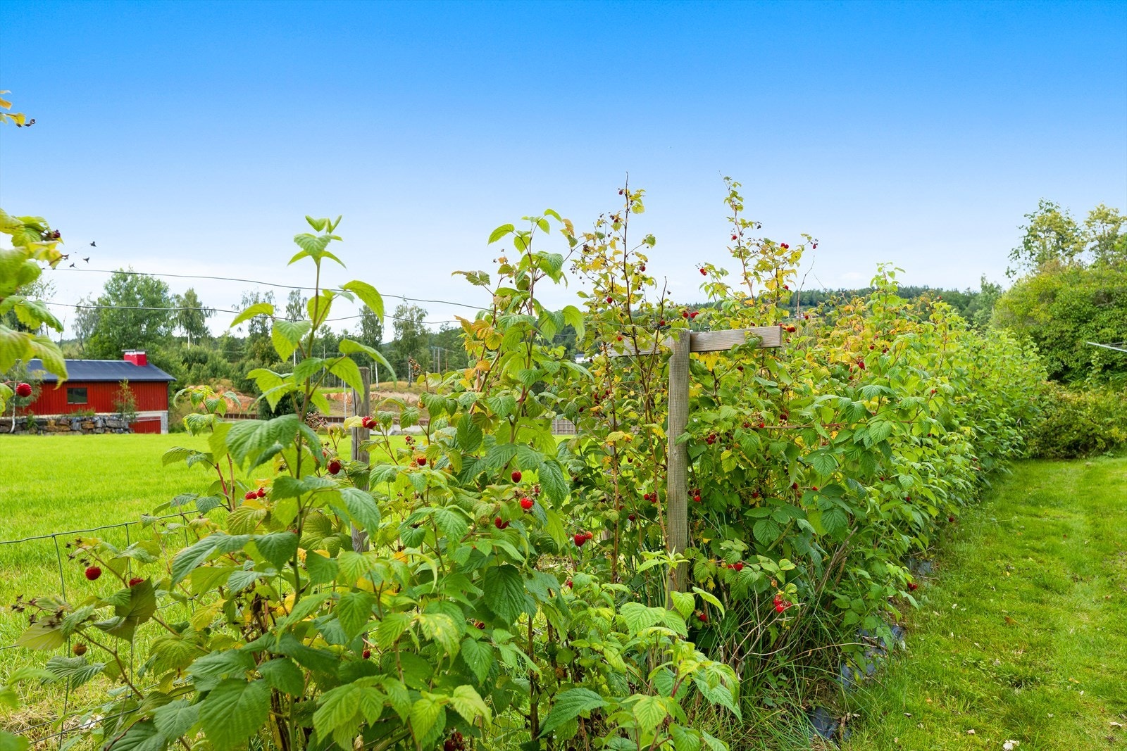 01Fasade_65.jpg Galleribilde