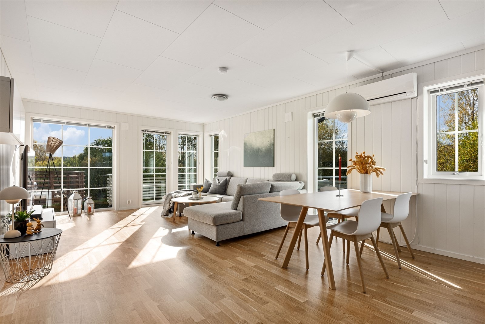 Richard Arntsen har gleden av å presentere Bjørndalsjordet 60B! Galleribilde