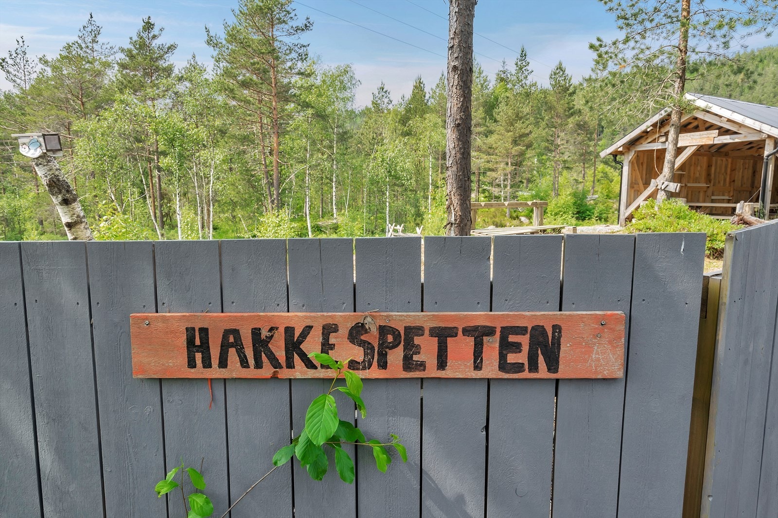 Barnehagen på Skaiå. Galleribilde