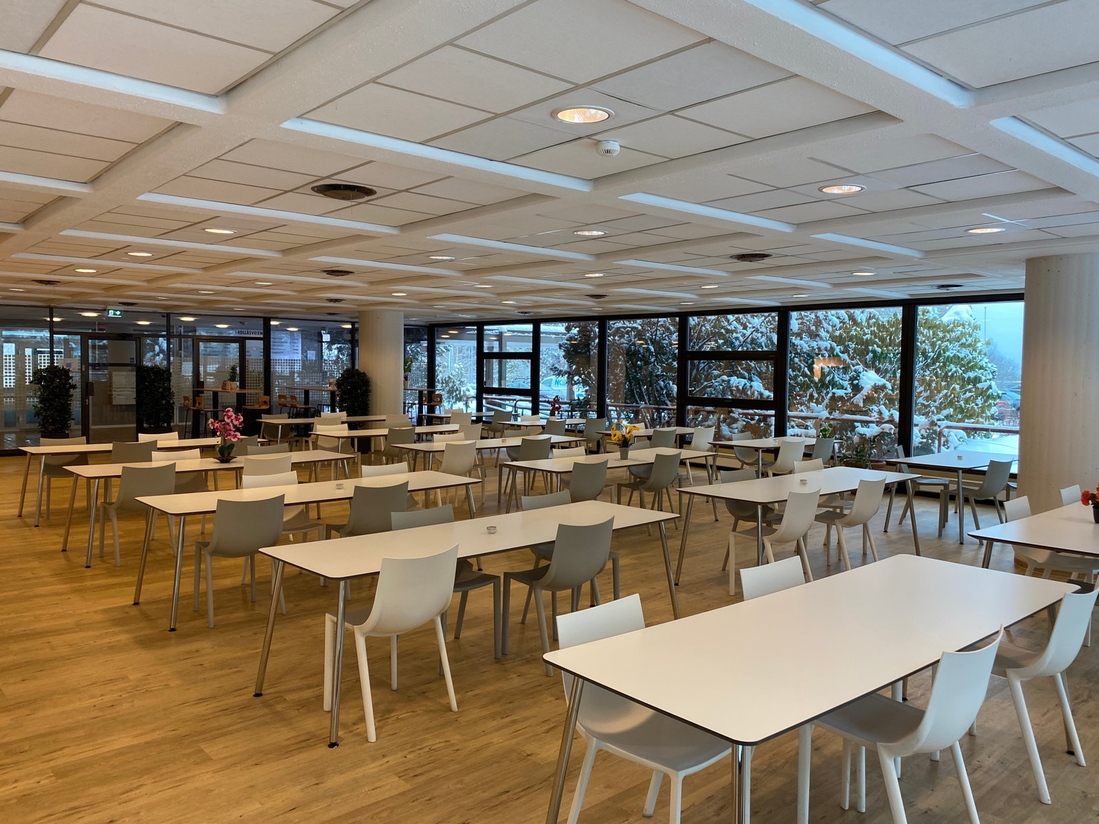 Felles kantine Galleribilde