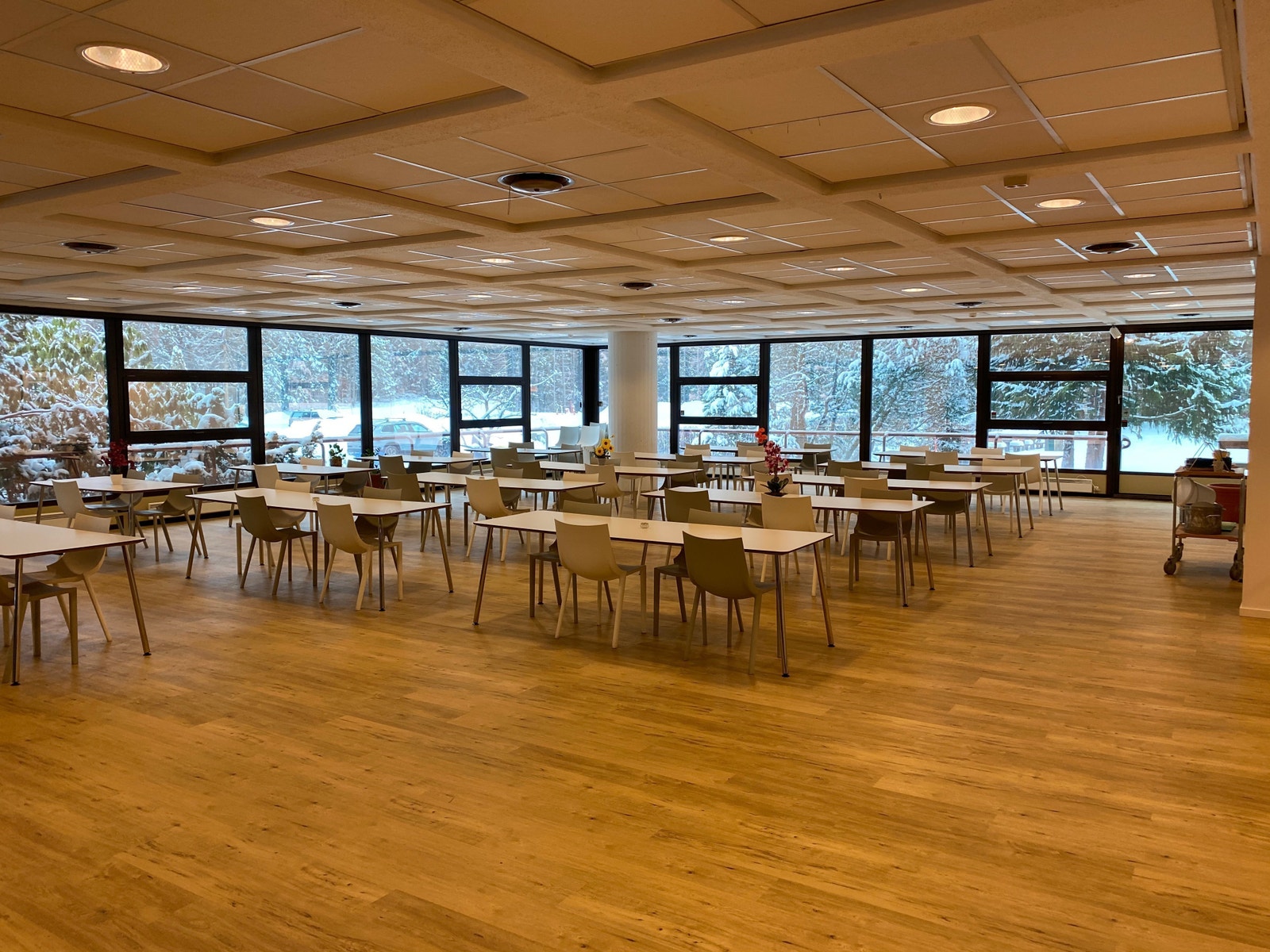 Felles kantine Galleribilde