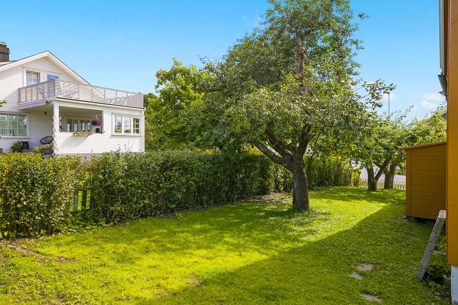 Skjermet hage på siden av huset med hekk mot naboen. Galleribilde