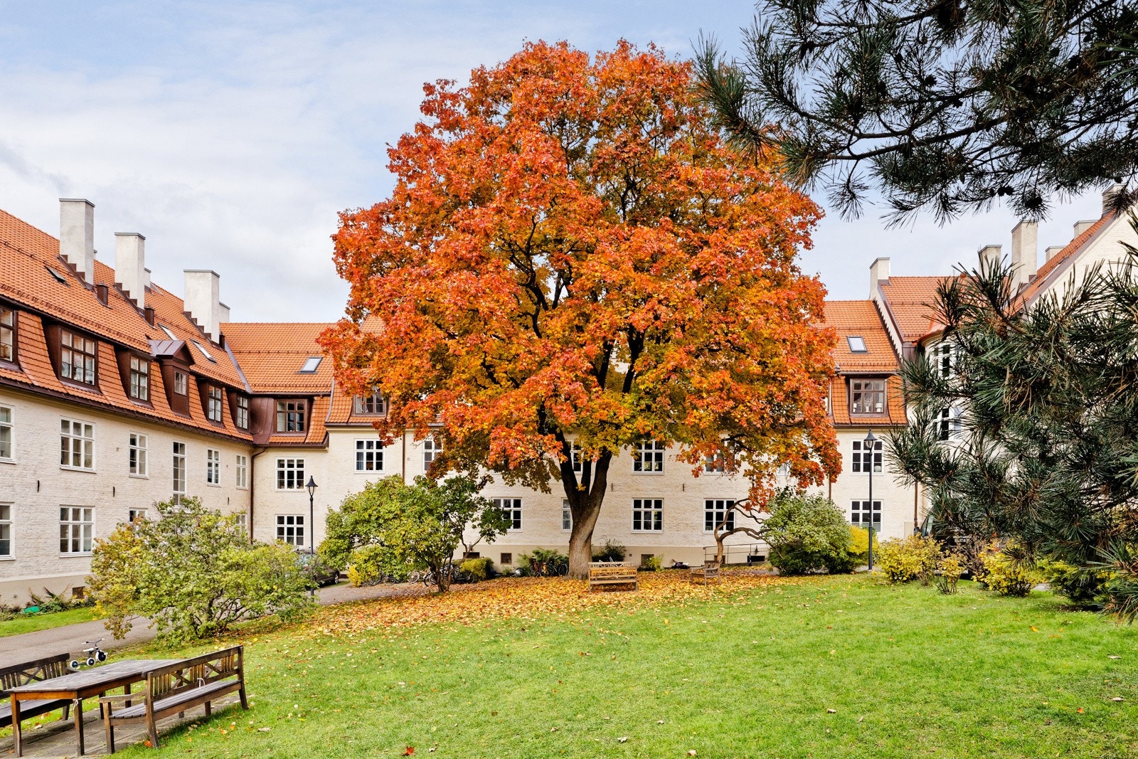 Grøntarealene som en egen park Galleribilde
