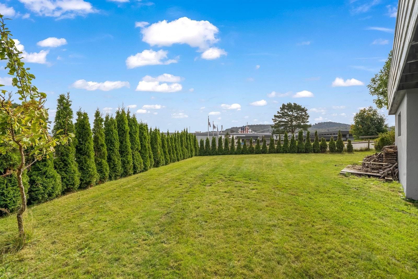 Solrik og flat hage i front av boligen omkranset med hekk. Tomta byr på boltreplass for liten og stor. Galleribilde