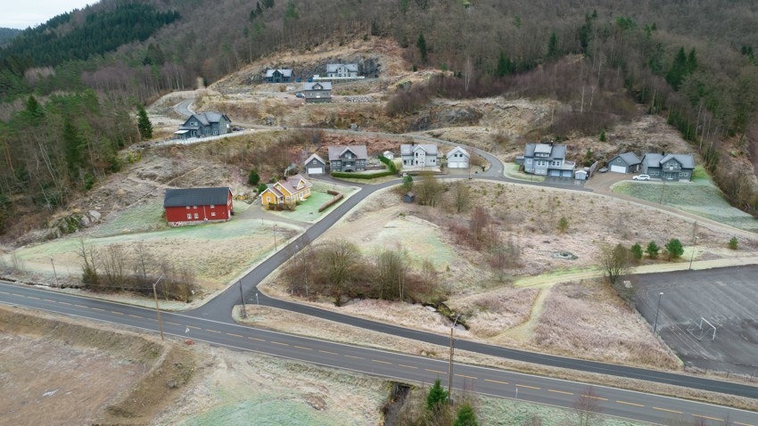 Moislia Boligfelt Galleribilde