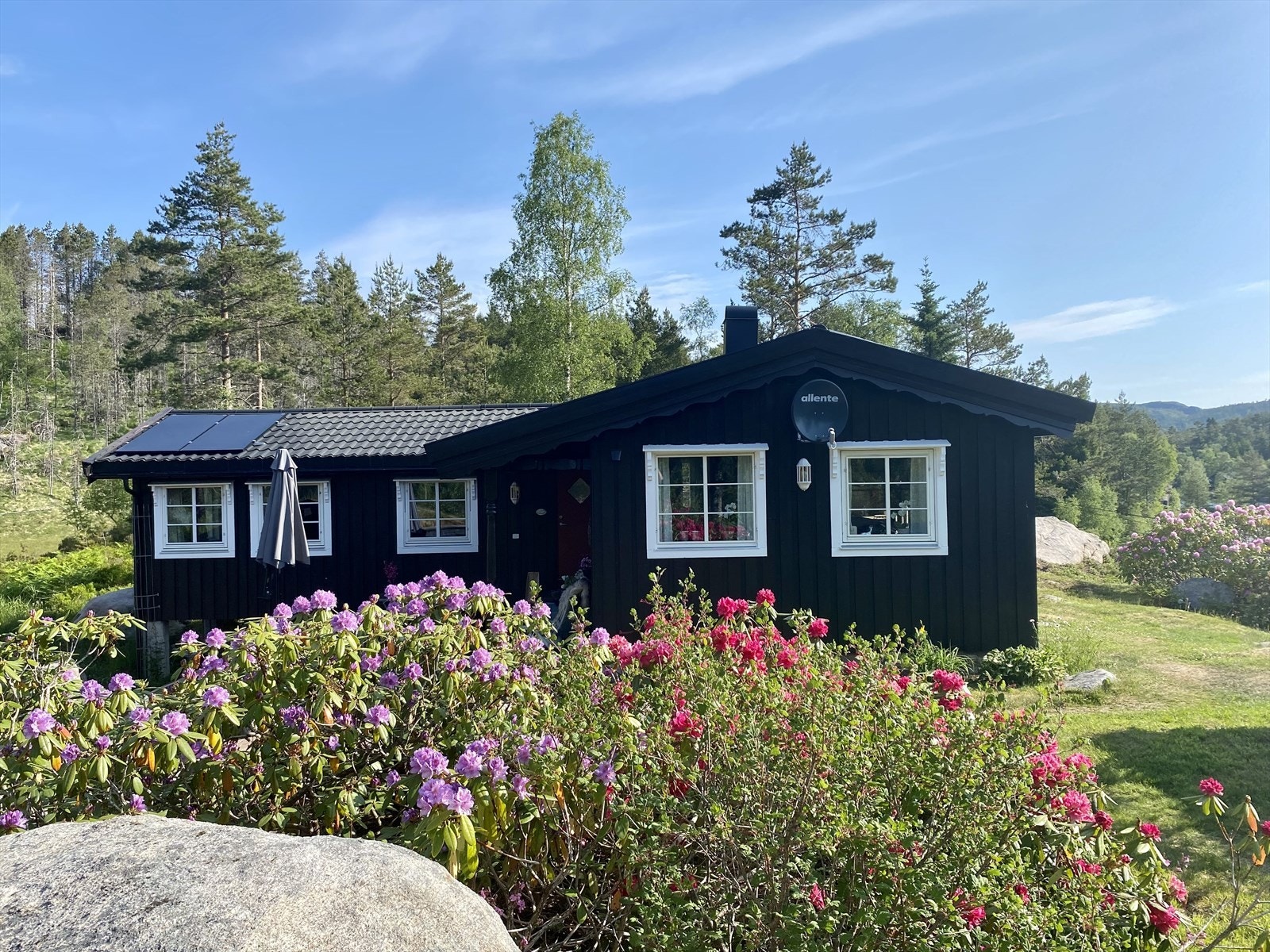 IMG_8185, Snart avblomstret.JPEG Galleribilde