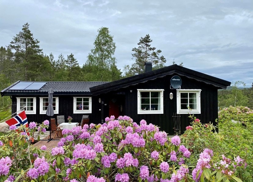 Privat bilde. Galleribilde