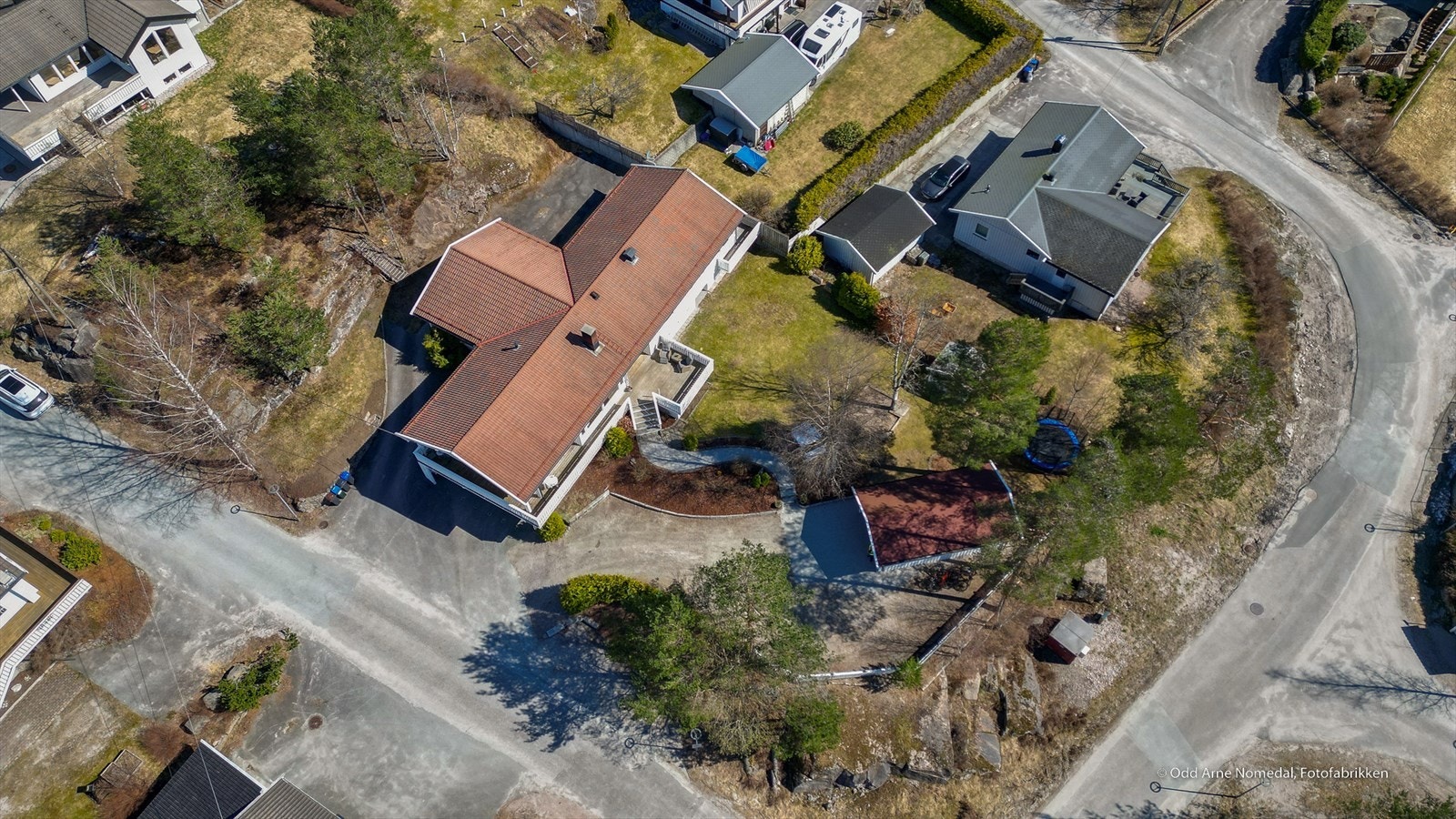 Oversikt hele tomten Galleribilde