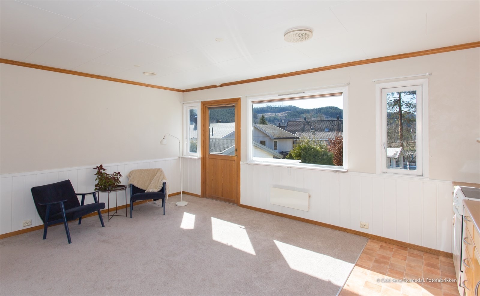 Utsikt over hagen Galleribilde