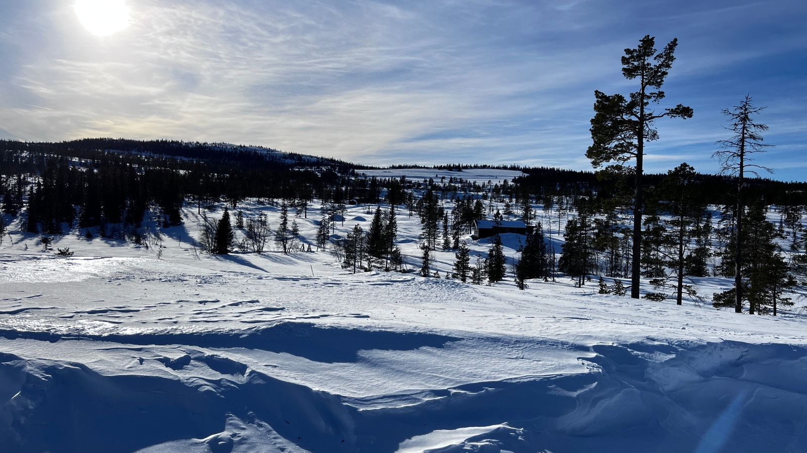Sagstugo tomt 6. Søre Veggli fjell. Galleribilde