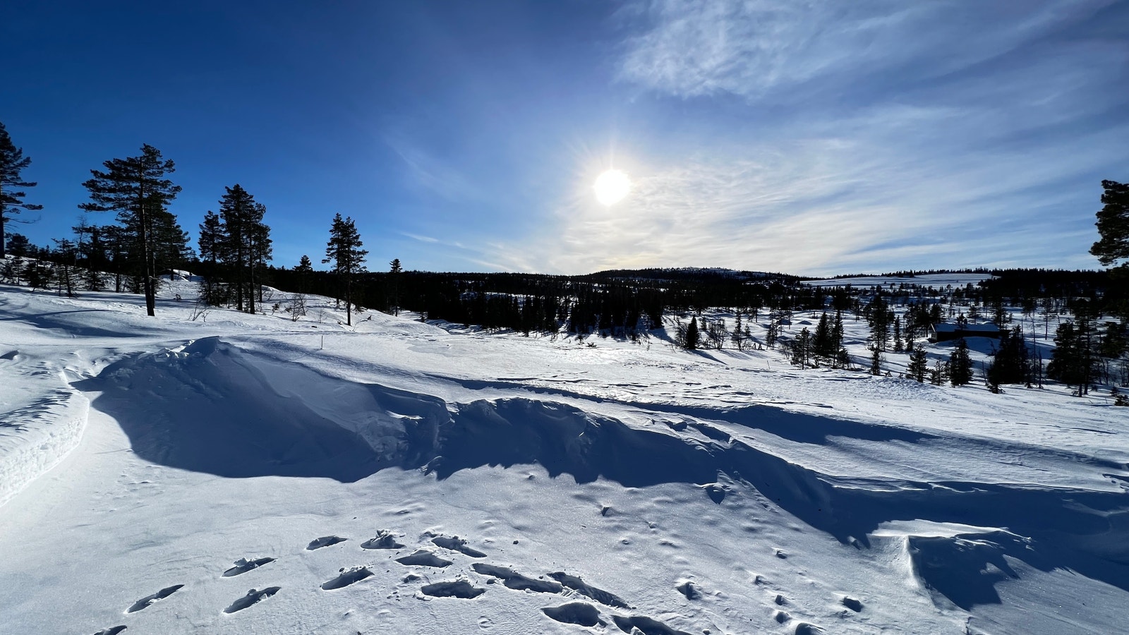 Sagstugo tomt 6. Søre Veggli fjell. Galleribilde