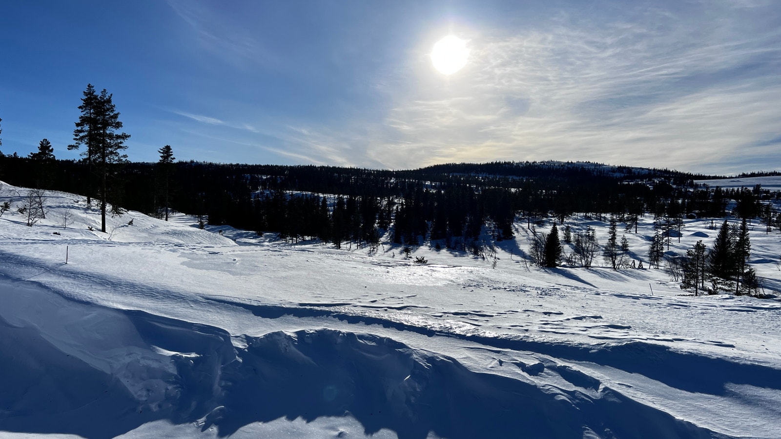 Sagstugo tomt 6. Søre Veggli fjell. Galleribilde