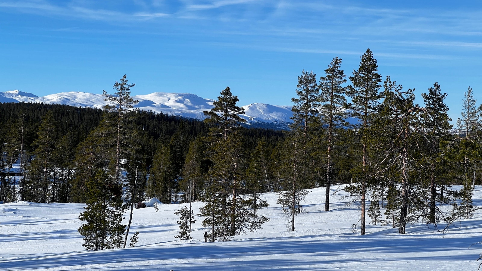 Sagstugo tomt 6. Søre Veggli fjell. Galleribilde