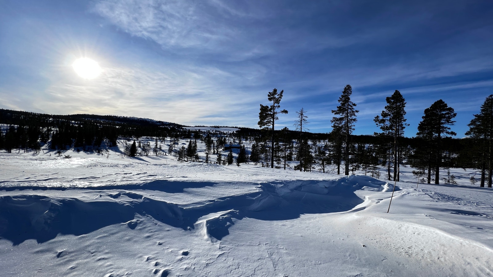 Sagstugo tomt 6. Søre Veggli fjell. Galleribilde
