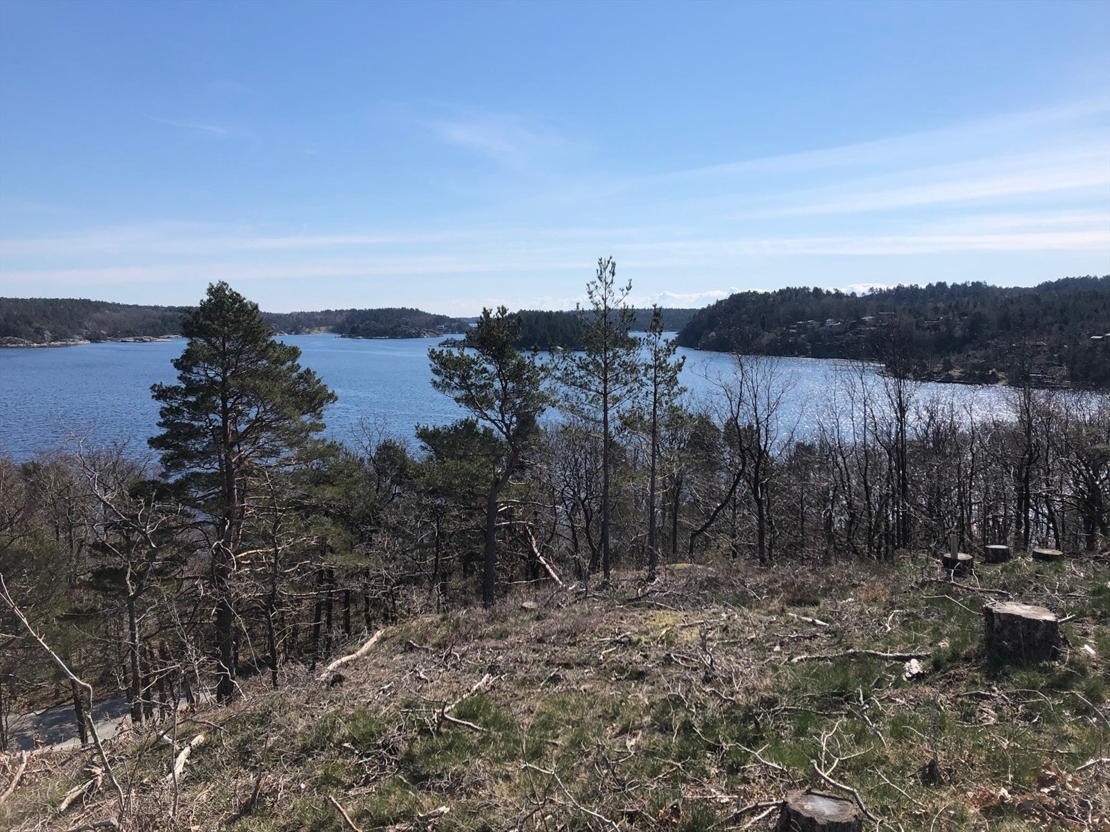 Tomtefeltet ligger nær sjøen med gode solforhold. Her utsikt fra friområde på toppen av feltet. Galleribilde