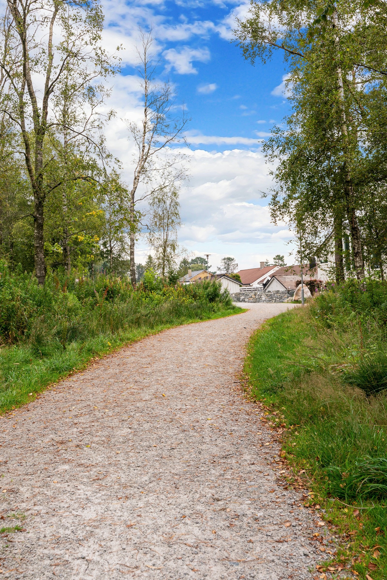 Fine turområder like i nærheten Galleribilde