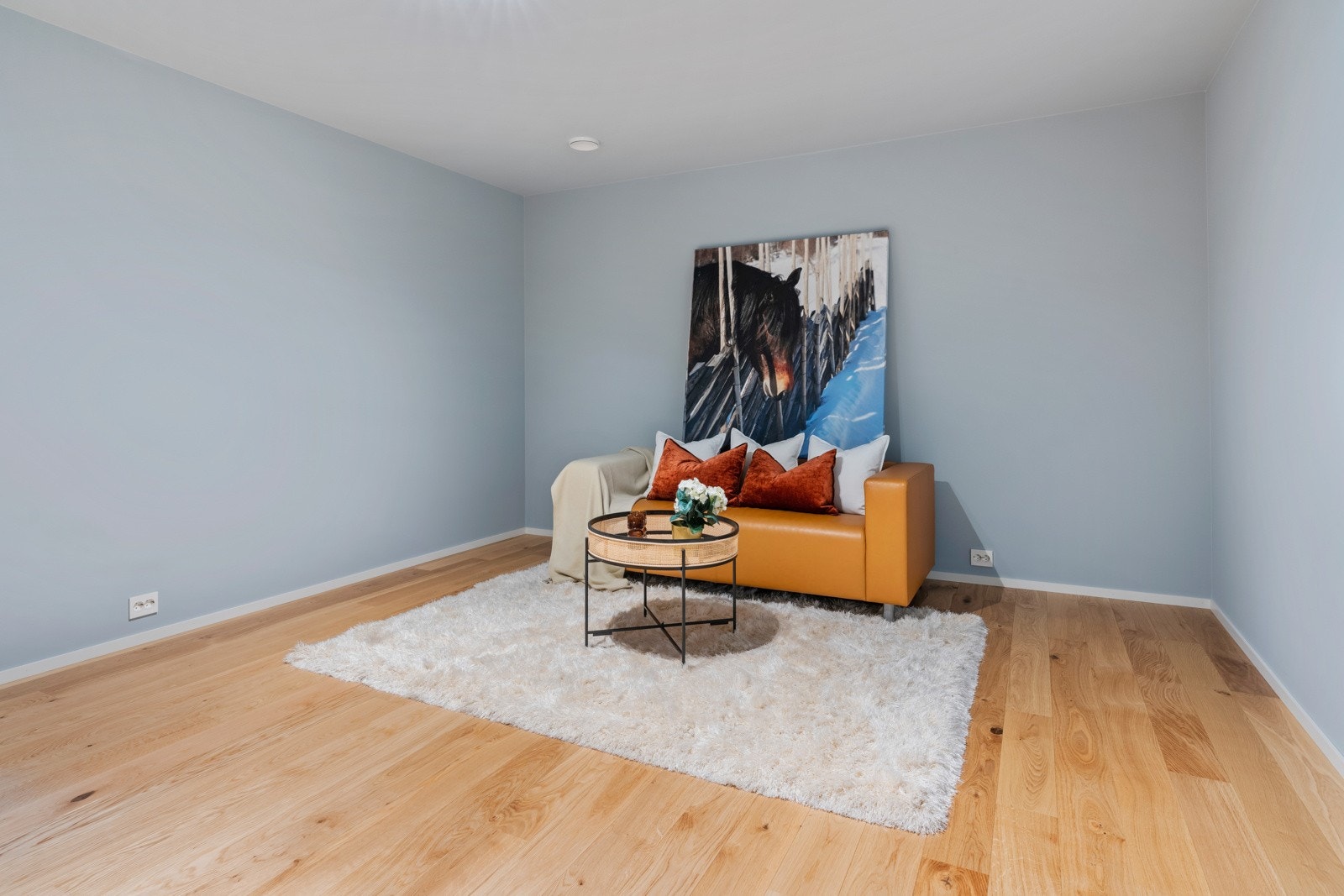 Kino-rom Galleribilde