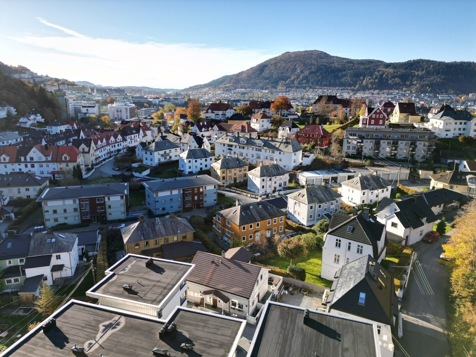 Boligens beliggenhet og grøntområder er sjelden vare. Galleribilde