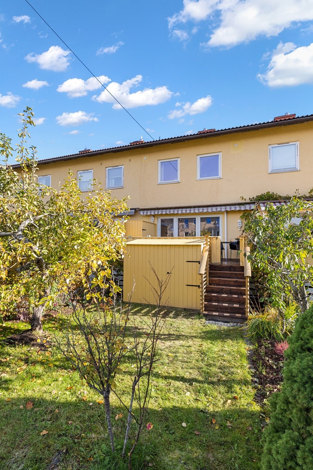 Privat, frodig og solrik hage. Galleribilde