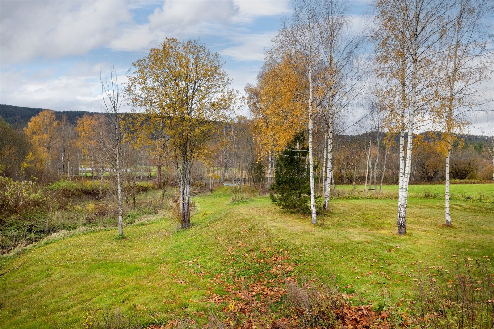 Fra eiendommen er det kort avstand til Simostranda skiskytterarena og om lag 4 km lysløype, hvorav 2,3 km samt en skileik kan dekkes av kunstsnø så snart det blir kuldegrader på høsten. Galleribilde