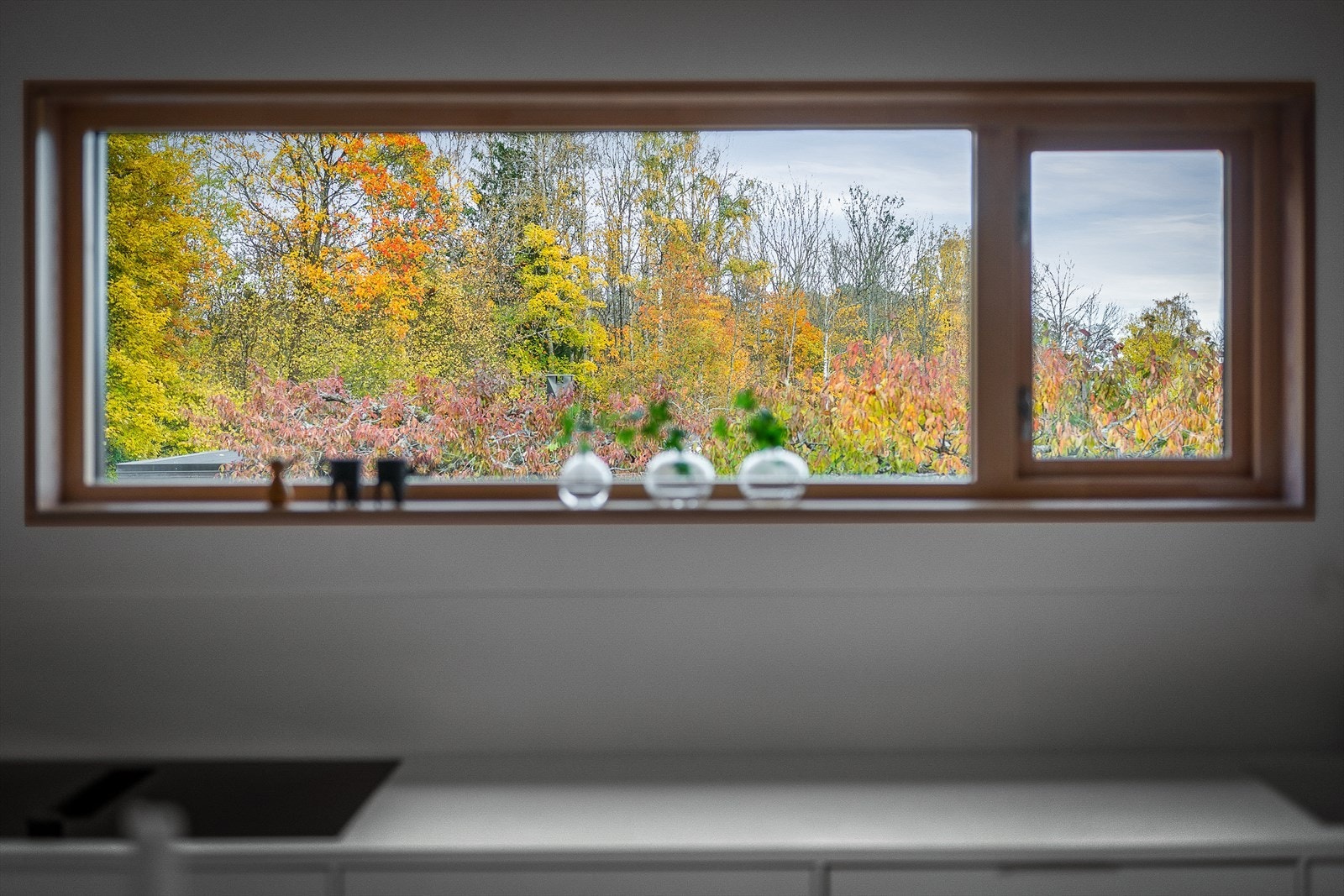 Kjøkkenet vender mot felles kirsebærhage, skogholt og morgensol. Galleribilde