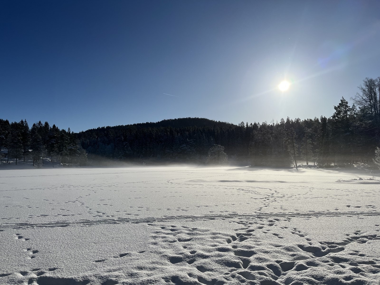 Drengsrudvannet ligger 5 minutters gange fra huset. Her kan man stå på skøyter om vinteren og bade om sommeren. Galleribilde
