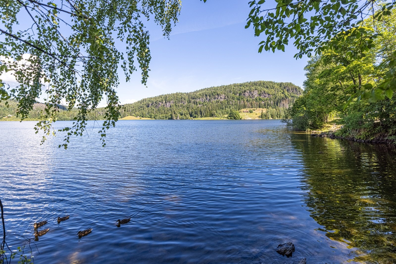 Populære Semsvannet er et meget populært turområde, Galleribilde