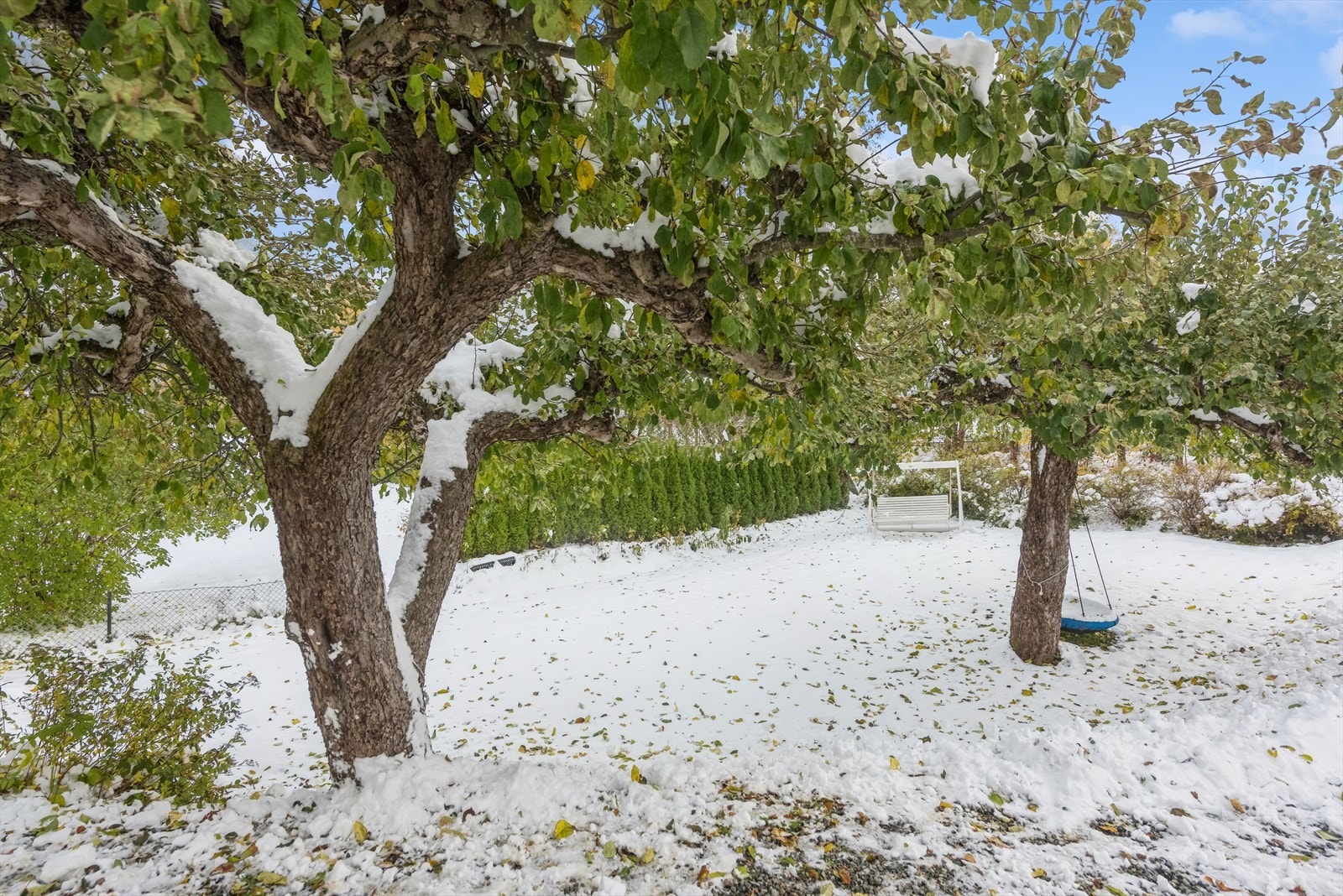 Stor hage med rikelig boltreplass for liten og stor. Galleribilde