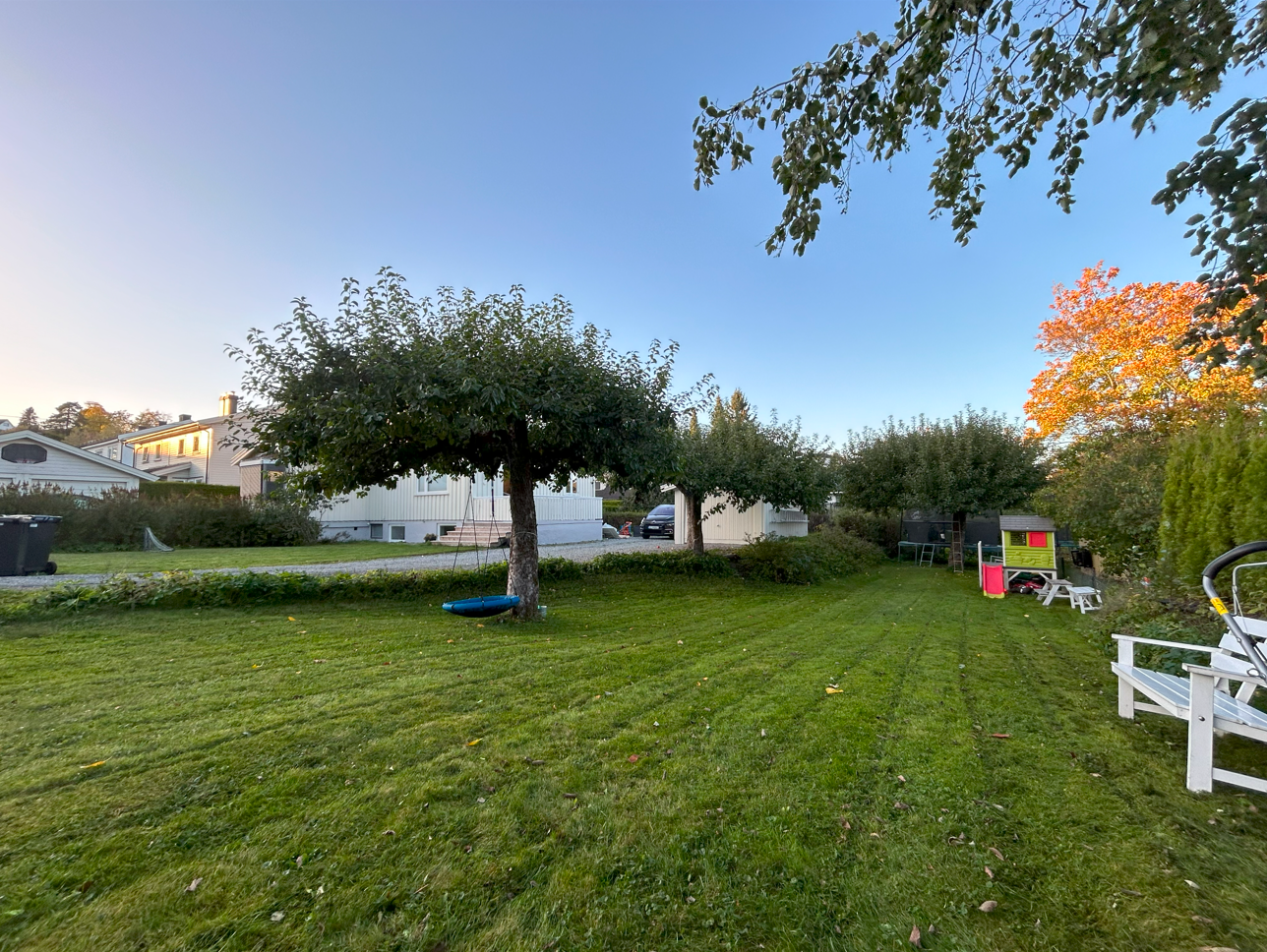 Privat sommerbilde Galleribilde