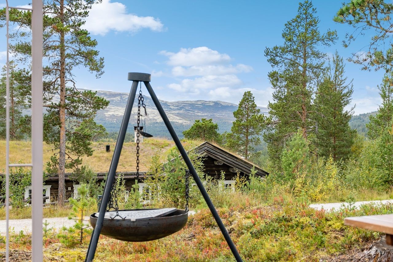 Utsikt Galleribilde