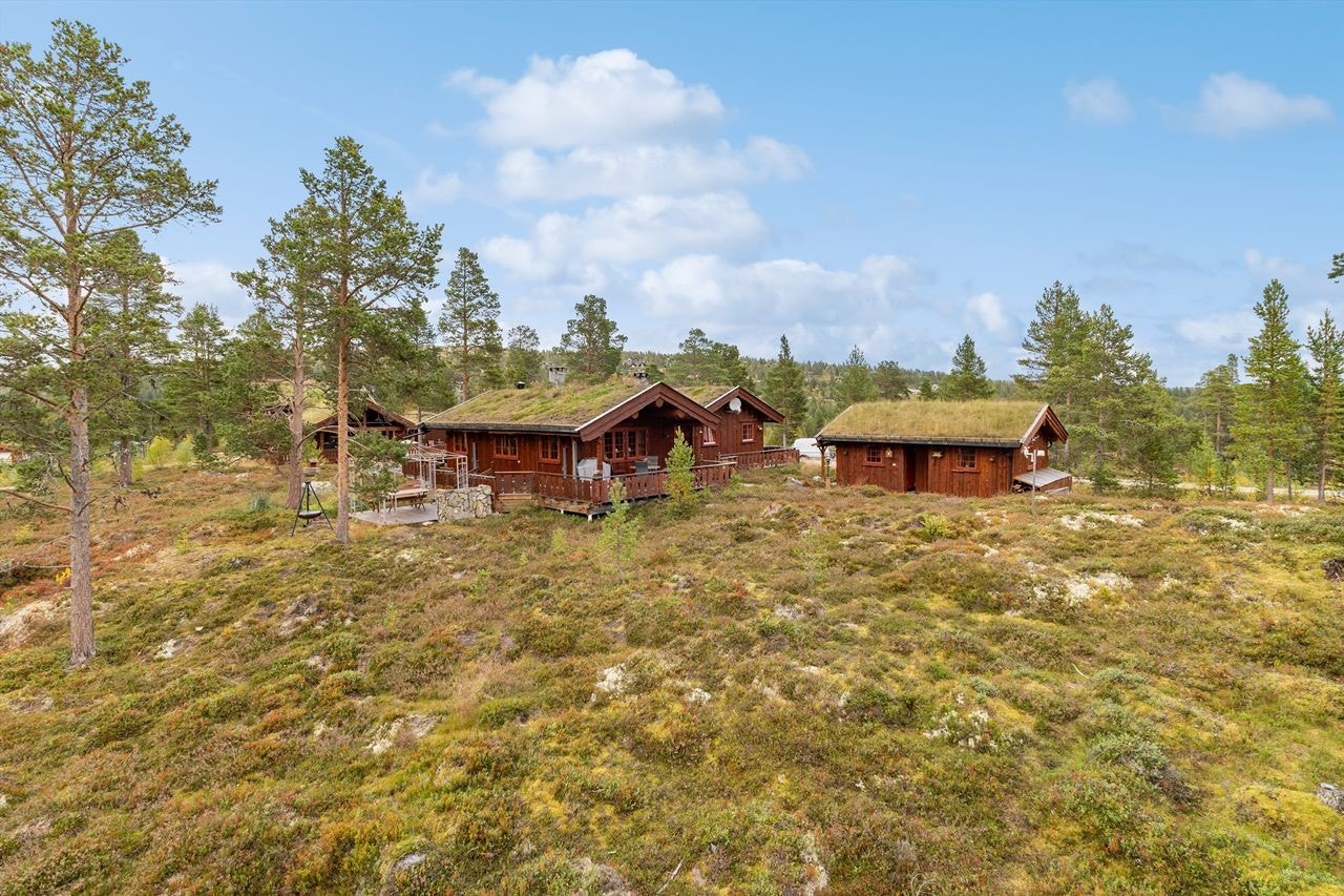 Velkommen til Kvikndølåsen 9! Galleribilde