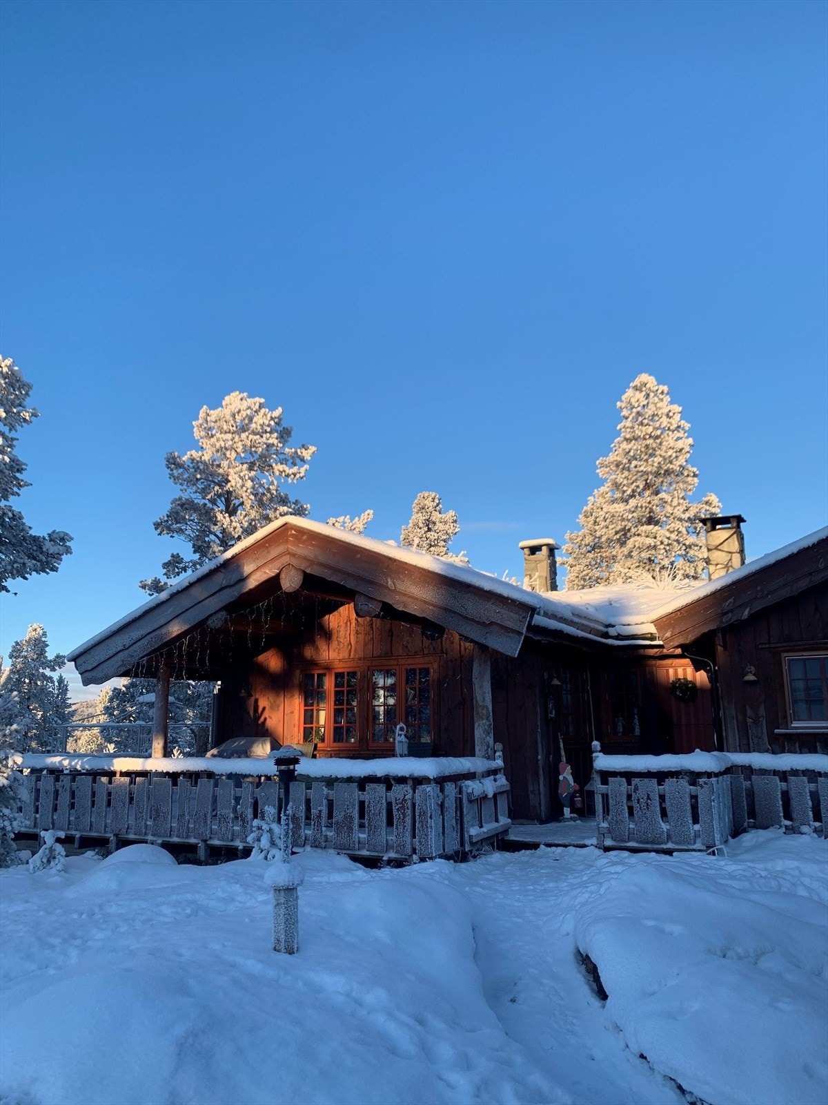 Privat bilde Galleribilde