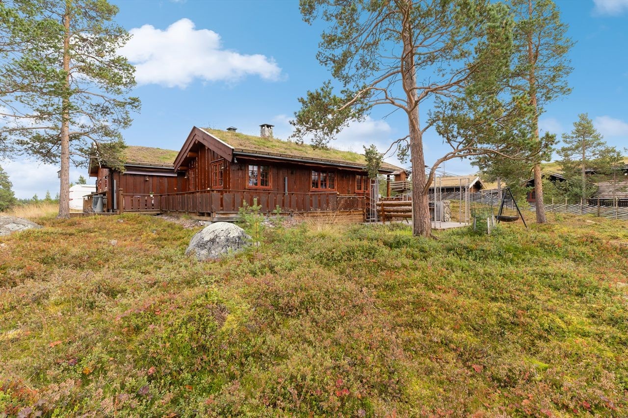 Tomten består i hovedsak av naturtomt Galleribilde