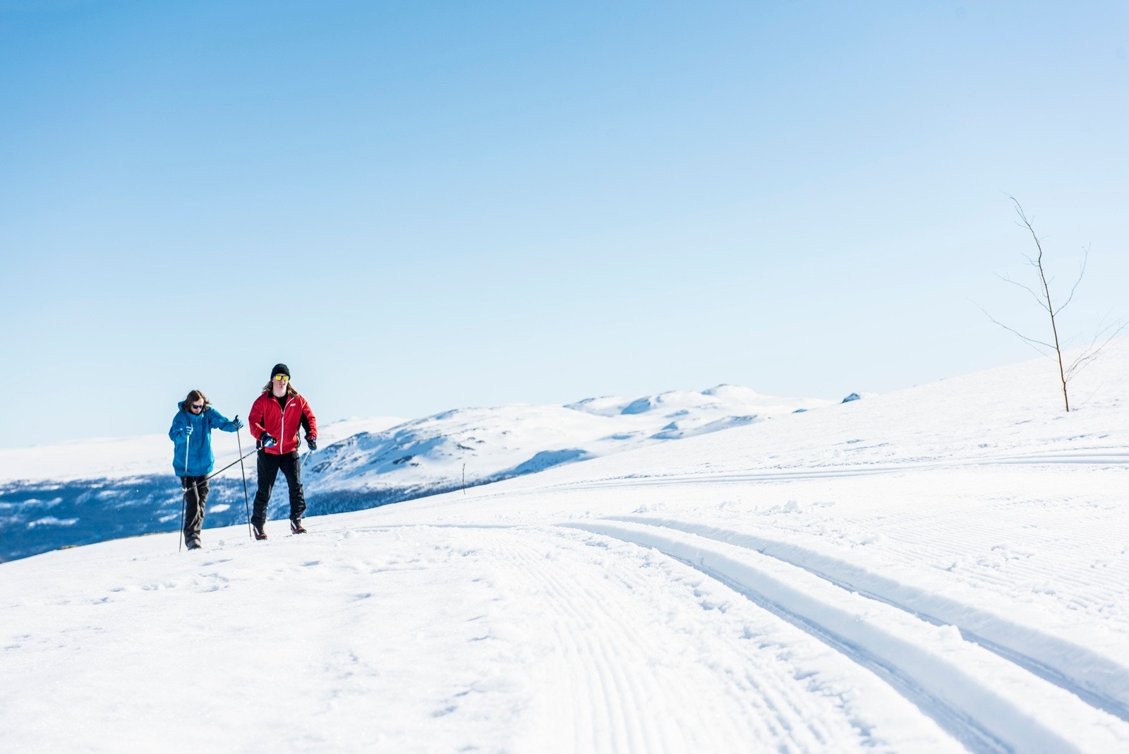 Kort vei til snaufjellet Galleribilde