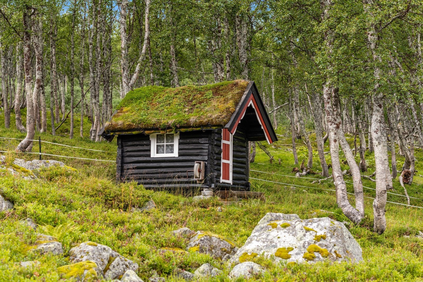 Dokkehus Galleribilde