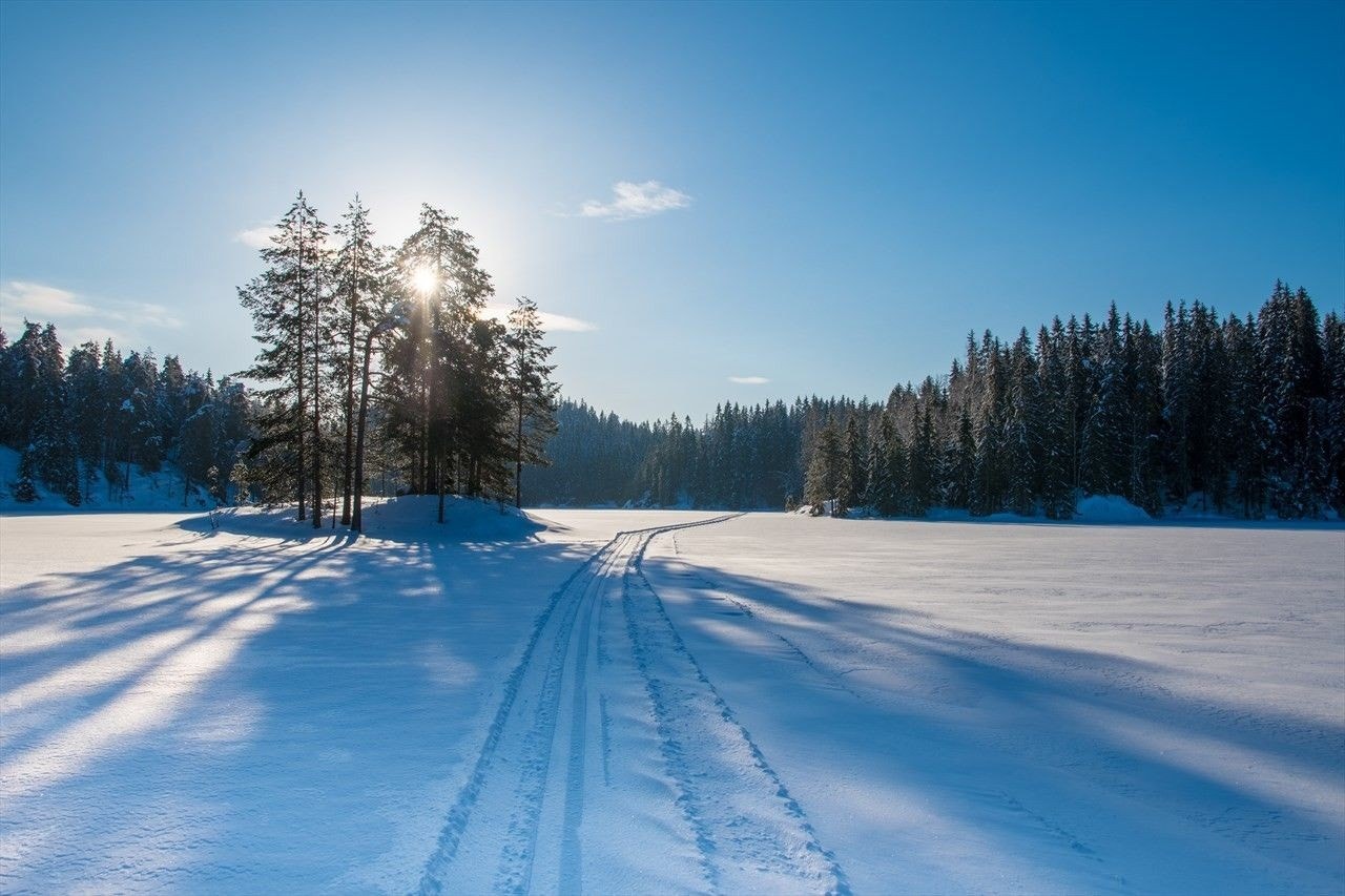 Spenn på deg skia og legg ut på langtur! Galleribilde